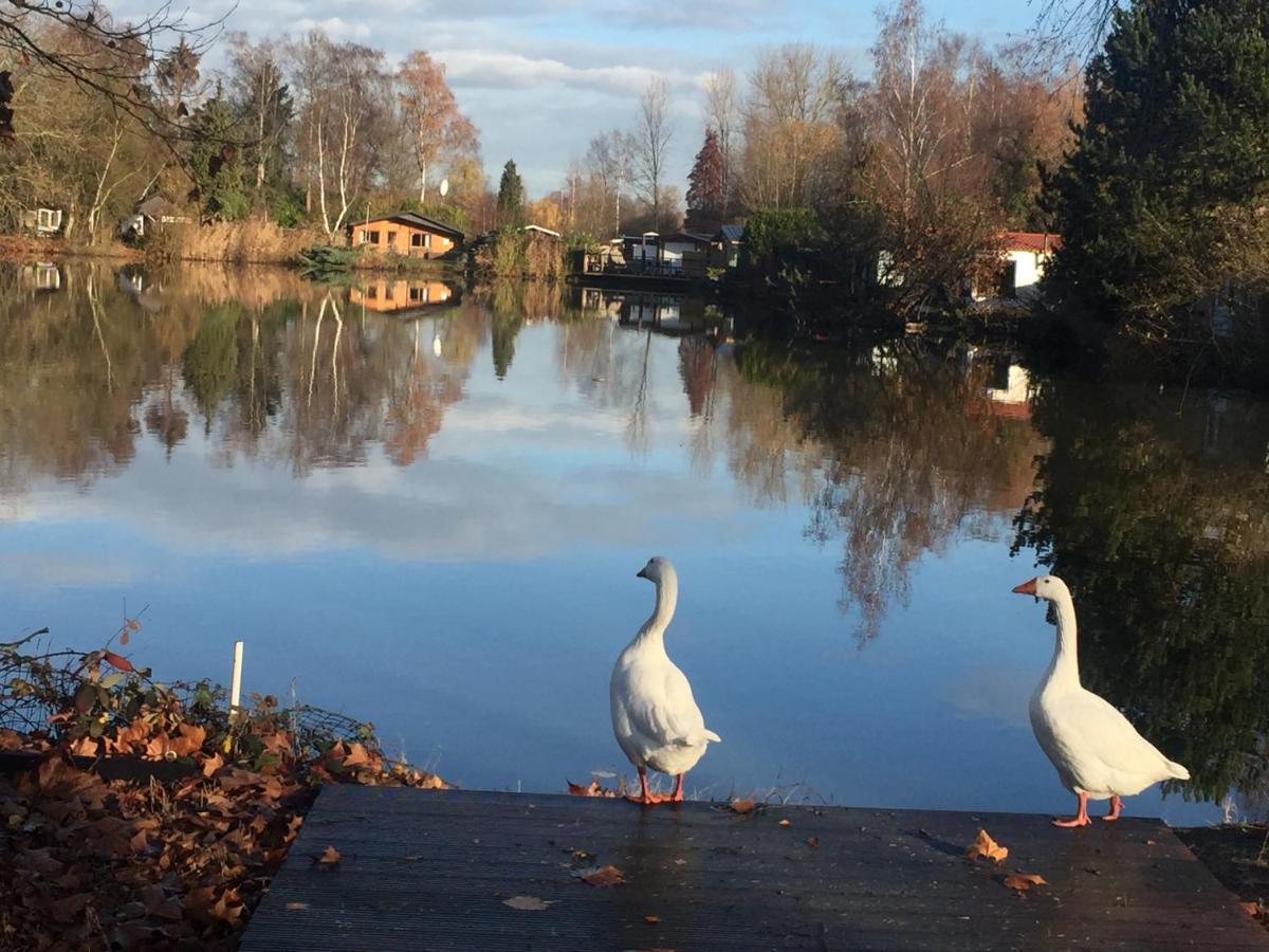 Vakantiehuisje De Waterhoek เกล ภายนอก รูปภาพ