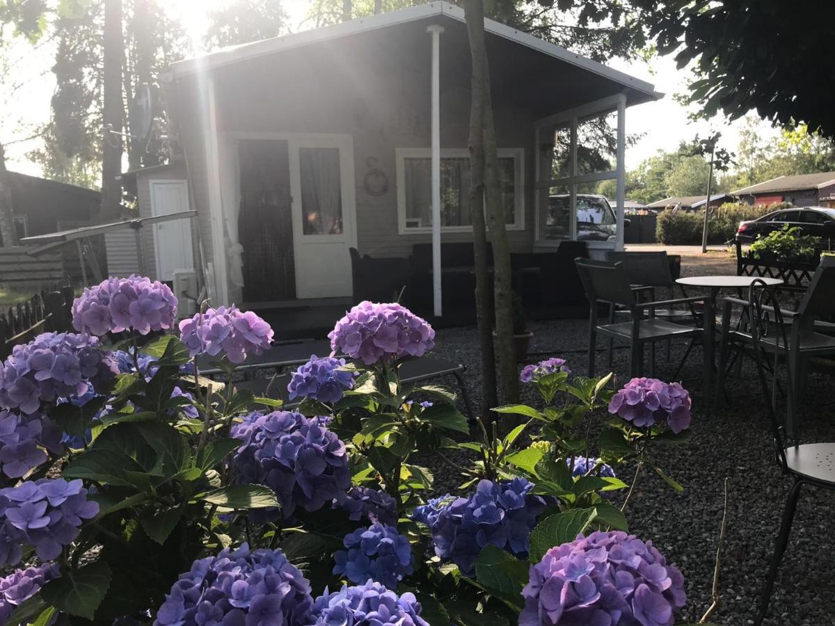 Vakantiehuisje De Waterhoek เกล ภายนอก รูปภาพ